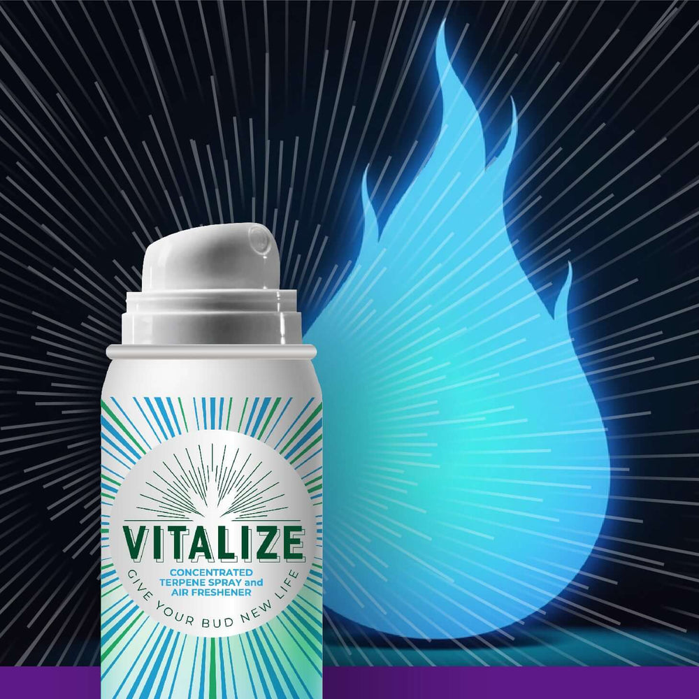 Blueberry Flame Vitalize Terp Spray