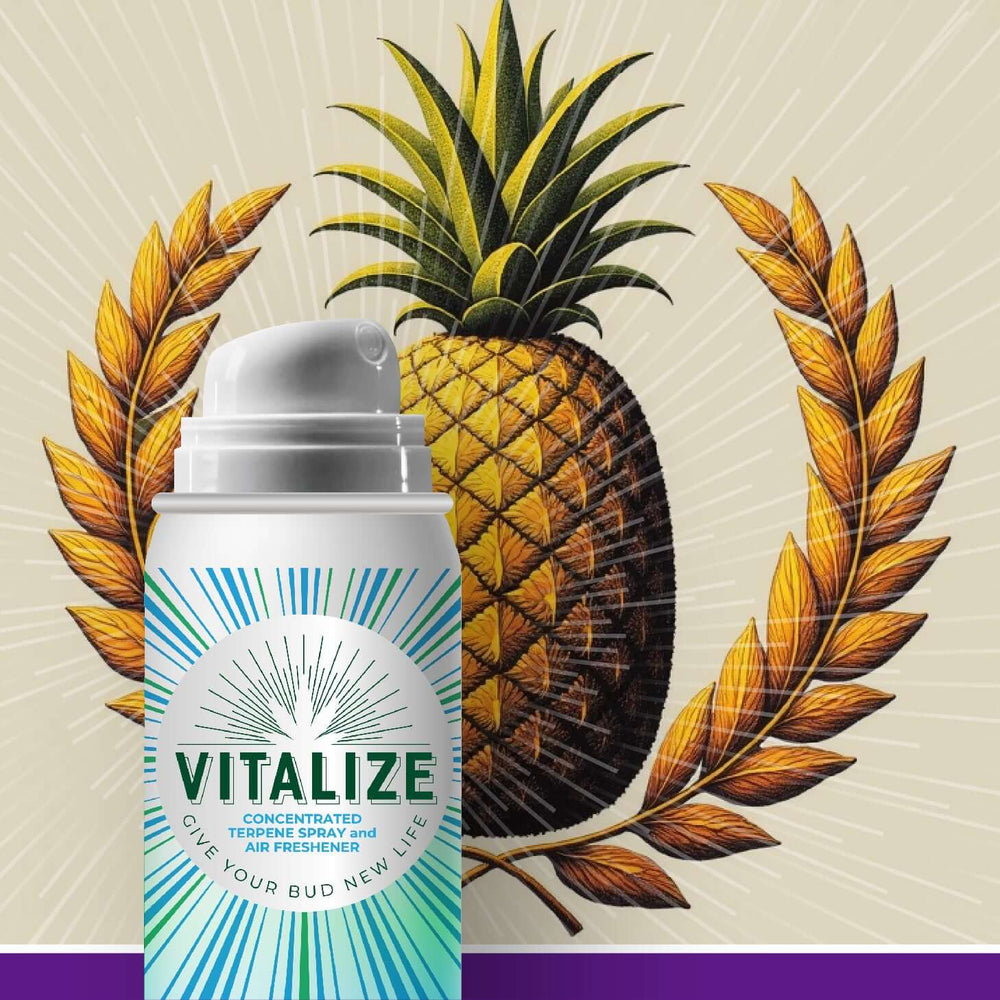 Golden Queen Pineapple Terp Spray
