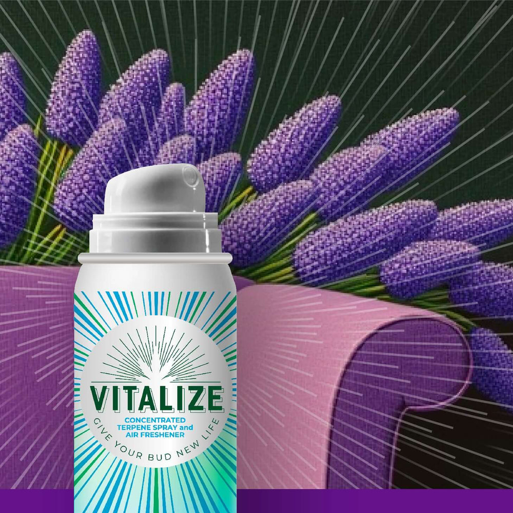 Lavender Kush Vitalize Terp Spray