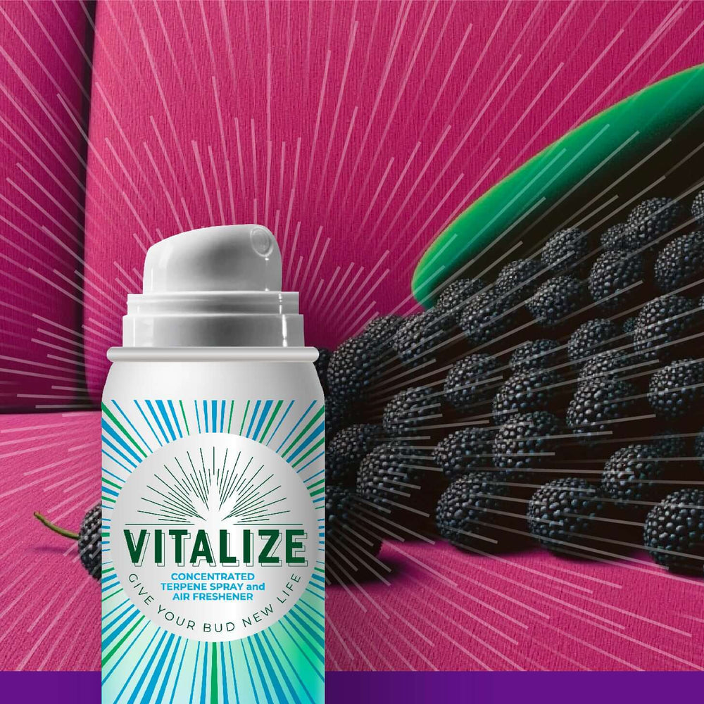 Blackberry Kush Vitalize Terp Spray
