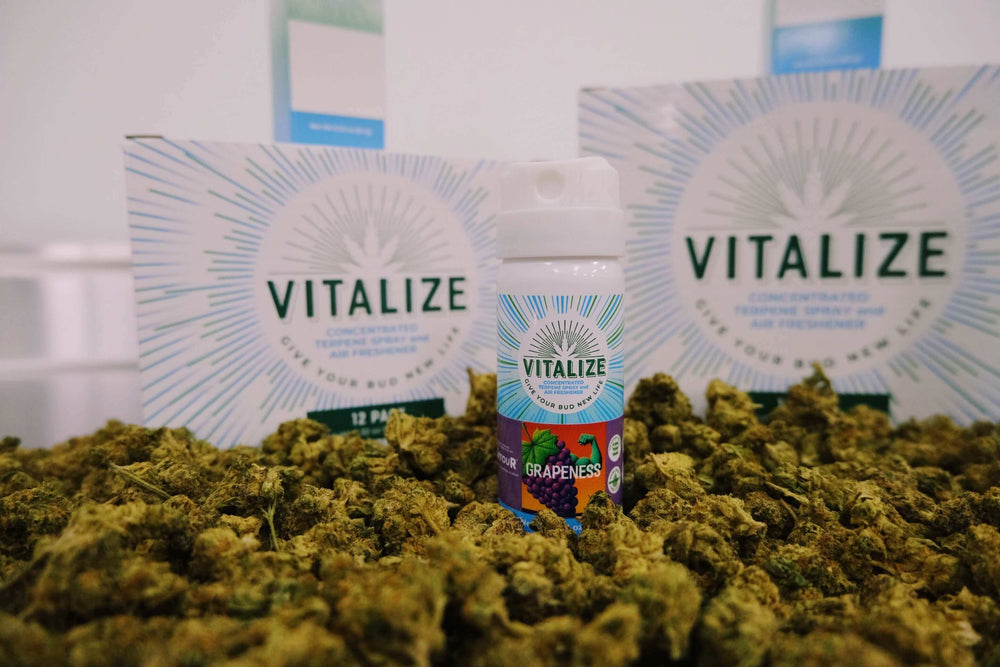 Introducing Vitalize Terpene Spray bottle in front of cannabis buds and packaging, enhancing dry cannabis.