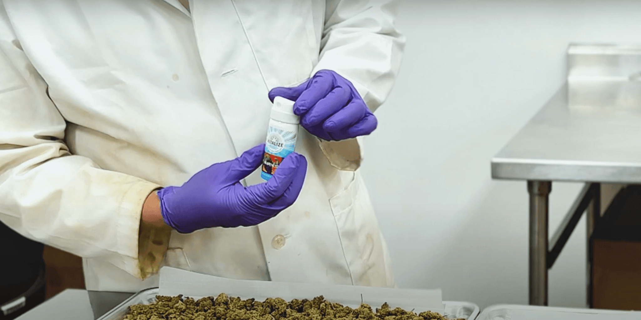 Person showcasing Vitalize terp spray in a lab setting with cannabis on the table.