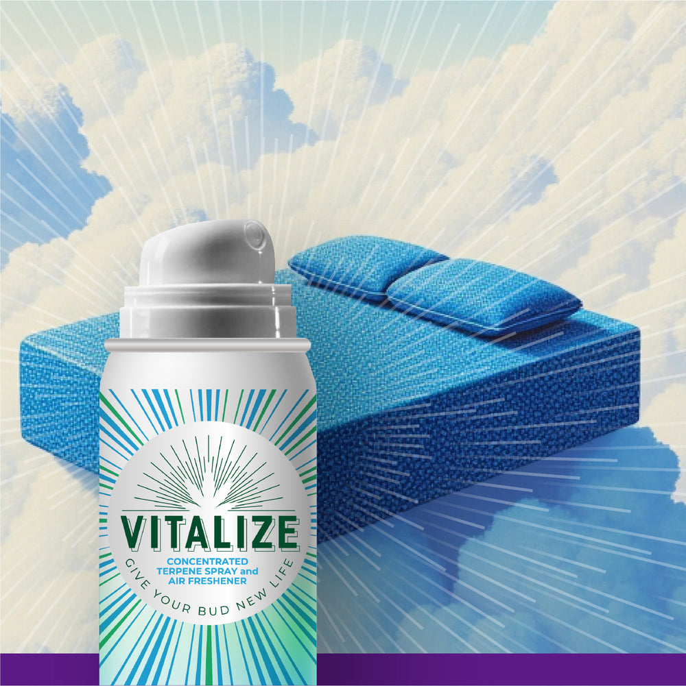 Terp spray Vitalize aerosol can with a blue couch background for restoring aroma and flavor to dry herbs.