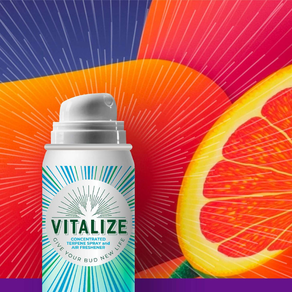 Terp spray Vitalize aerosol can against colorful background, revitalizing dry herb aroma and flavor.