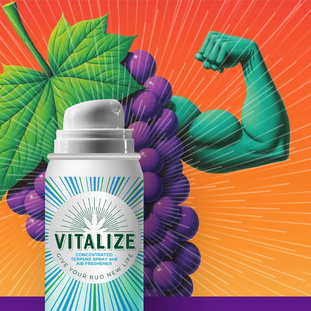 Terp spray can from Vitalize with grape and muscat flavor, revitalizing cannabis aroma and flavor.