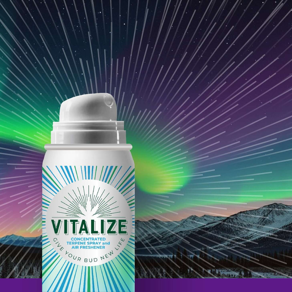Northern Lights Vitalize terp spray canister reviving aroma and flavor of dry herb, set against a vibrant aurora backdrop.