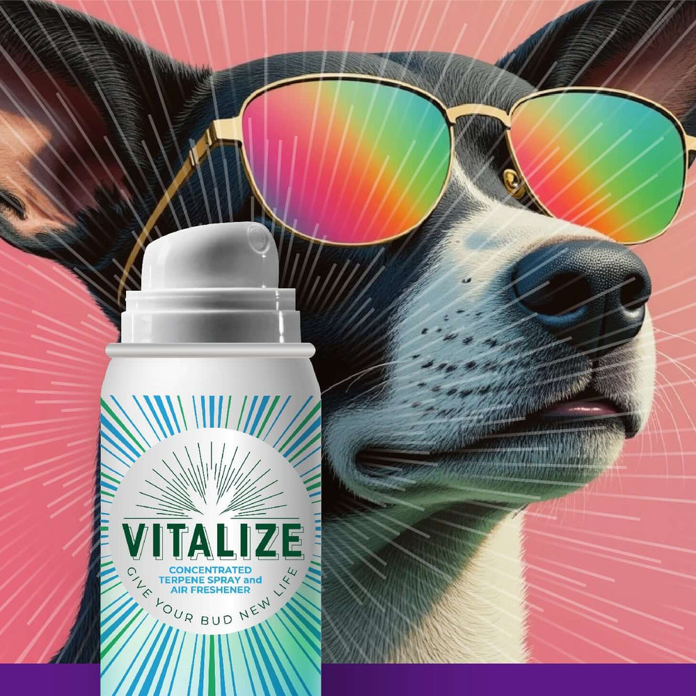 Summer Dawg Vitalize Terpene Spray with a playful dog wearing sunglasses against a colorful background.