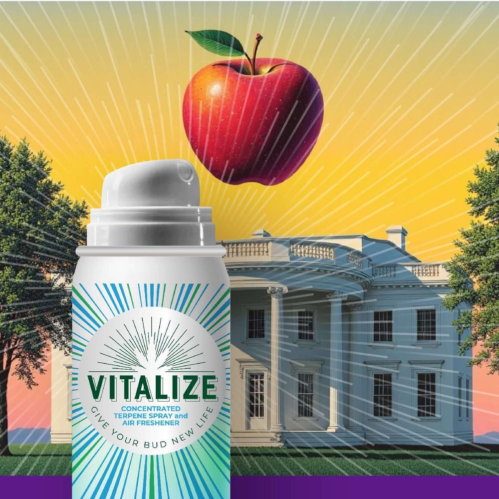 Terp spray Vitalize can with vibrant apple and sunburst background, designed to enhance aroma and flavor of dry herbs.